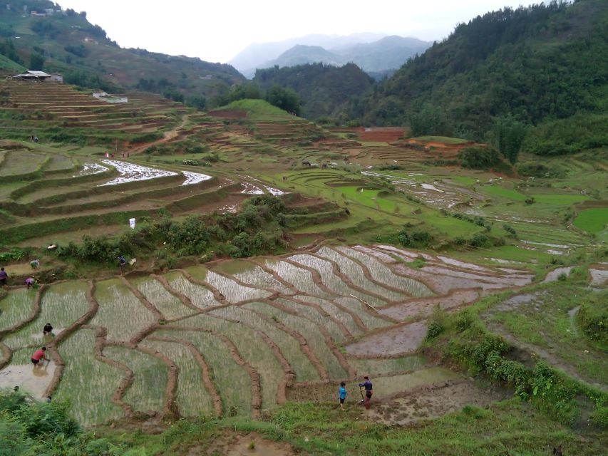 Hanoi- SaPa: 3-Day Homestay Trek to Explore Ethnic cultures - The guides make a major difference
