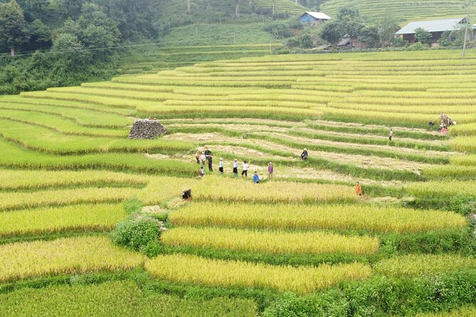 Hanoi - Sapa 3 Days - 2 Nights Trekking with With the locals - Key points before you book