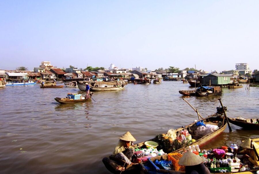 HCMC: Cai Rang Floating Market & Mekong Delta Private Tour - Key points to know before booking