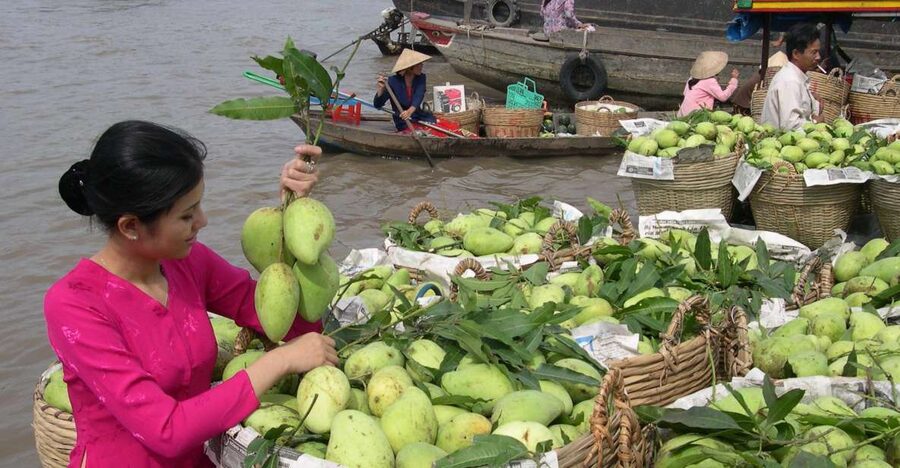HCMC: Cai Rang Floating Market & Mekong Delta Private Tour - Why the pre-dawn departure matters at Cai Rang