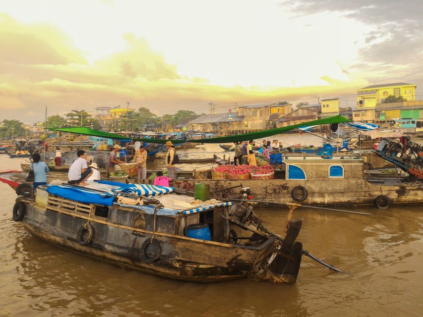 HCMC: Cai Rang Floating Market & Mekong Delta Private Tour - Honey tea, fruit, music, and village stops