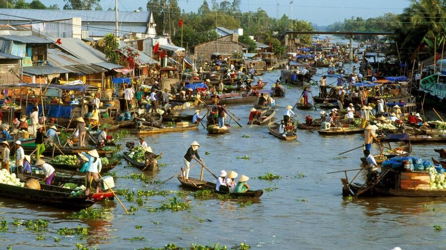 HCMC: Cai Rang Floating Market & Mekong Delta Private Tour - Lunch with Vietnamese dishes