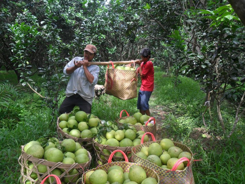 HCMC: Cai Rang Floating Market & Mekong Delta Private Tour - What the private format is worth at $140