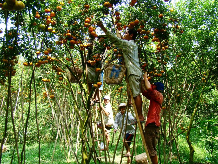 HCMC: Cai Rang Floating Market & Mekong Delta Private Tour - How this tour handles an important change in the delta