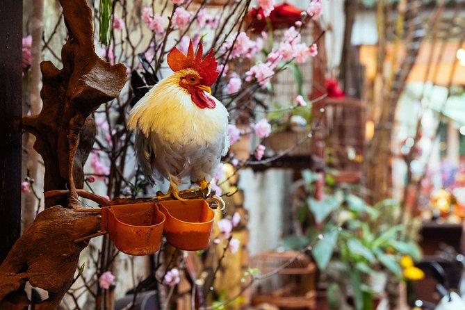 Highlights & Hidden Gems With Locals: Best of Hanoi Private Tour - Why this private walk works well in Hanoi