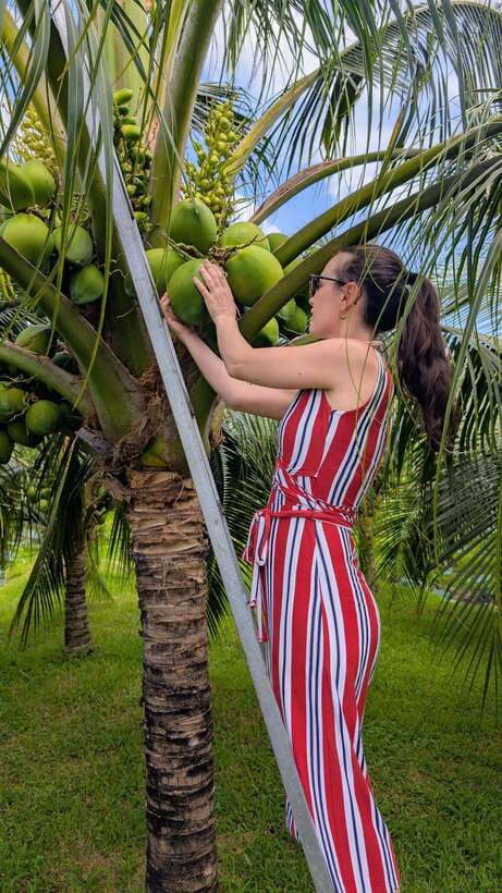 Ho Chi Minh: 1-Day Mekong Delta Tour-Floating Market & Islet - Son Islet and the fish beneath your feet
