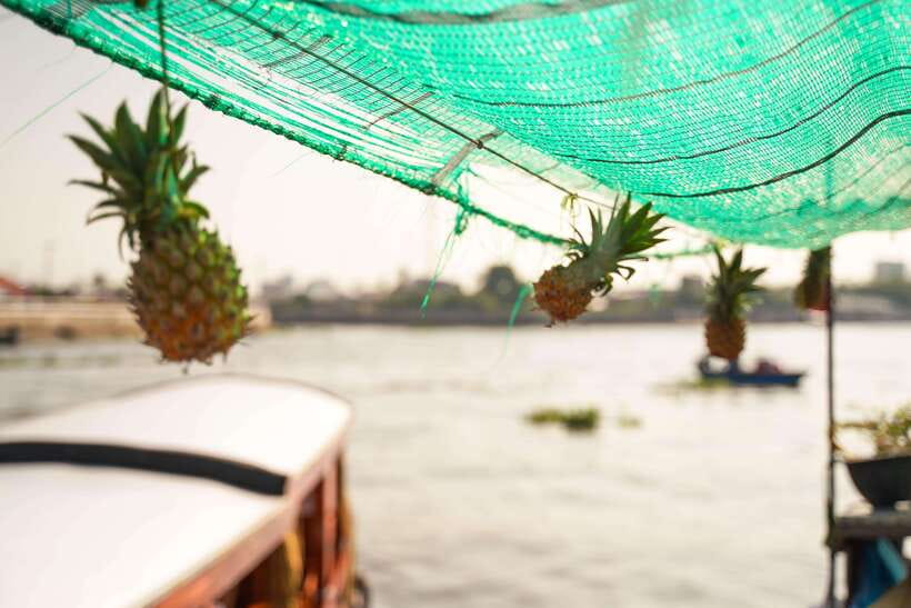 Ho Chi Minh: 3-Day Mekong Delta & Optional Exit to PhnomPenh - Choosing the Phnom Penh transfer