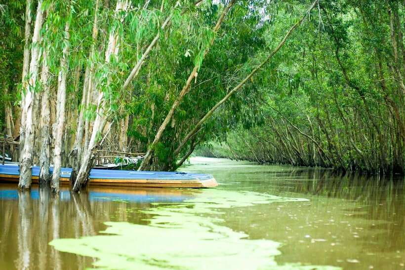 Ho Chi Minh: 3-Day Mekong Delta & Optional Exit to PhnomPenh - Food, hotels, transport, and group size