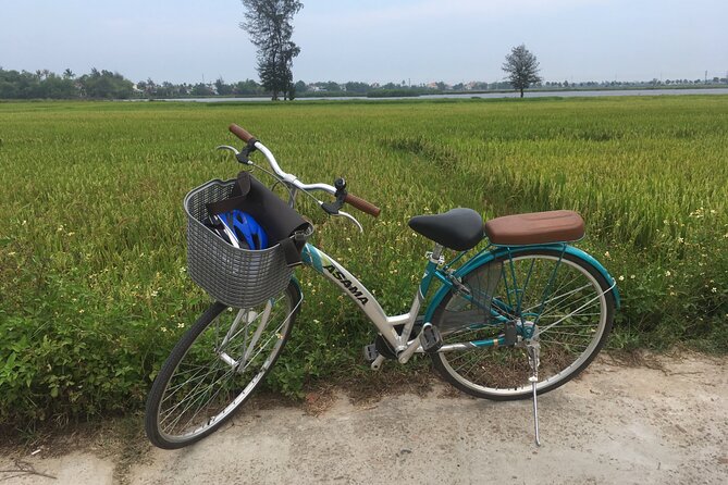 Hoi An countryside biking tour, water buffalo+ basket boat ride - Cam Thanh, fishermen, and the round basket boat