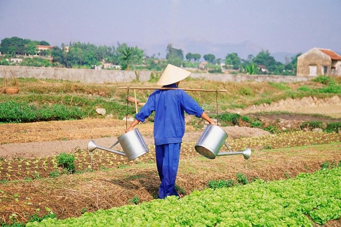 Hoi An countryside cycling tour - Key points to know before booking