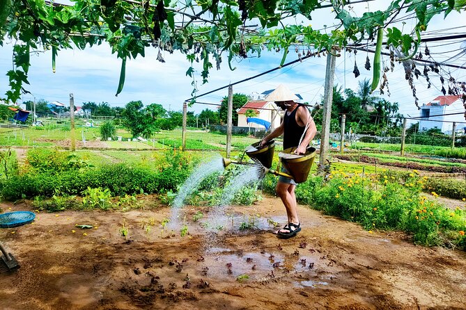 Hoi An countryside cycling tour - Rice fields, shrimp farms, and village roads