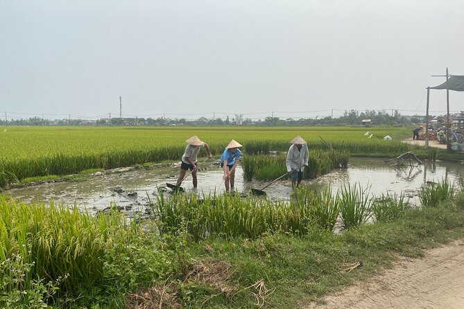 Hoi An Countryside Vespa Tour: Food, Culture & Daily Life - Tra Nhieu and Duy Vinh: village traditions by Vespa