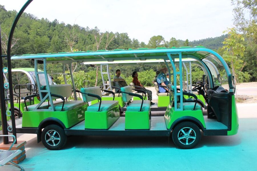 Hoi An/Da Nang: My Son Afternoon tour: Banh my and Cruise - Key points to know before booking