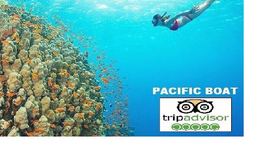 Hoi An/Da Nang: Snorkelling & Island-Hopping Speedboat Tour - Key points to know before booking