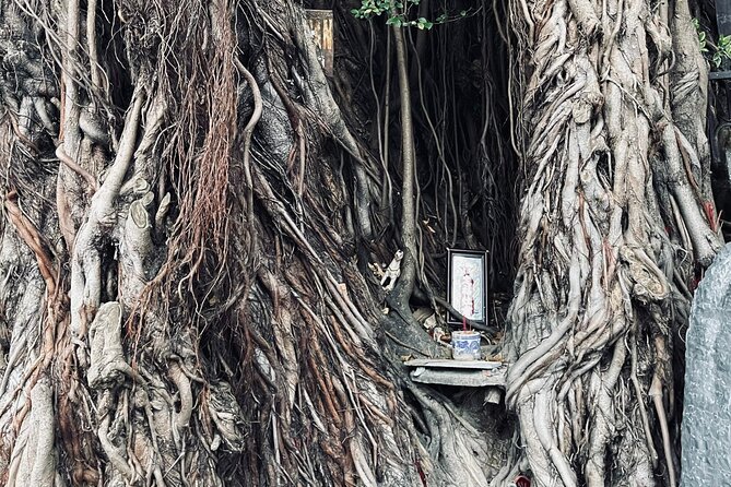 Hoi An Ghosts, Death, Mystery Unveiled - The oldest house and the war that emptied it