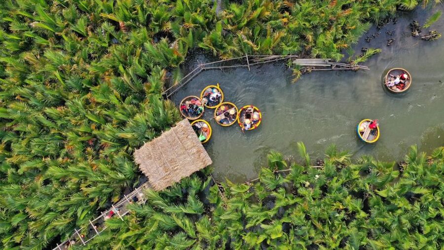 Hoi An: Hoi An Basket Boat Ride in Water Coconut Forest - Paddling through the coconut-lined waterways