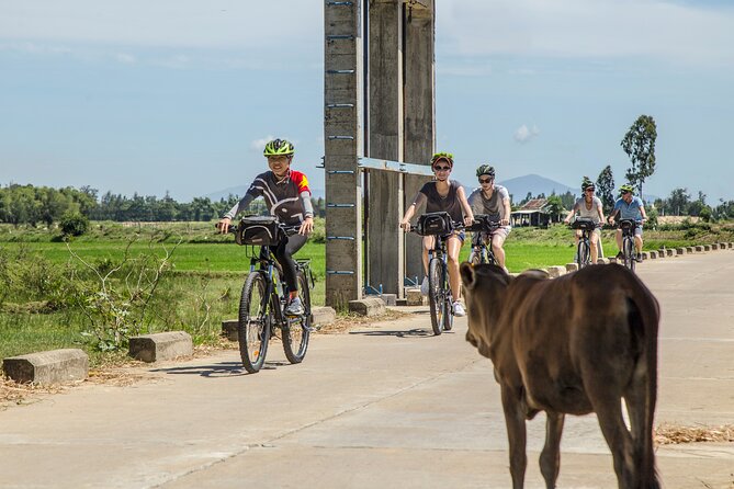 Hoi An Morning Countryside Tour by Bike - The quick facts before you book