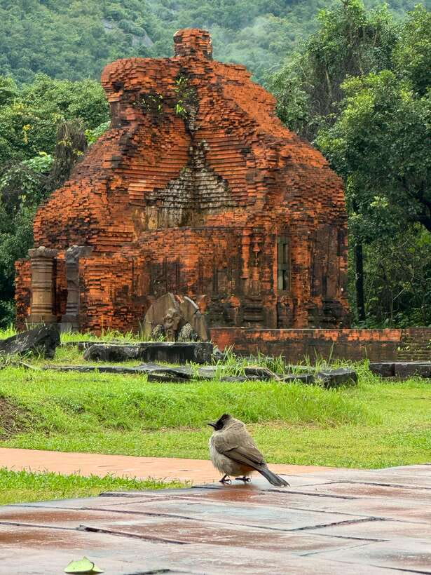 Hoi An: My Son Sanctuary Private Tour with Local Guide - Why My Son is worth leaving Hoi An for