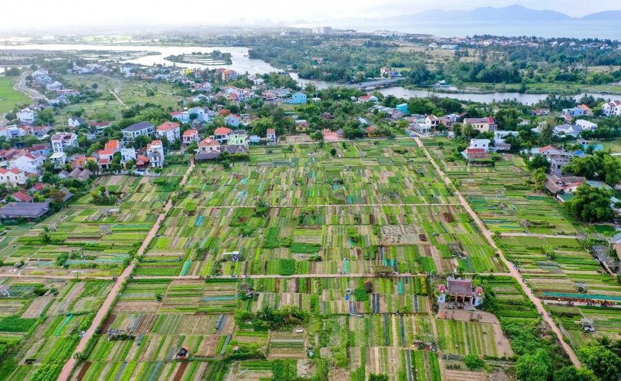 Hoi An: Rural Cycling Tour to Village with Basket Boat Ride - Practical points before you reserve
