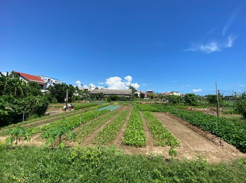 Hoi An: Rural Cycling Tour to Village with Basket Boat Ride - Starting at Tran Phu Street and leaving the Old Town