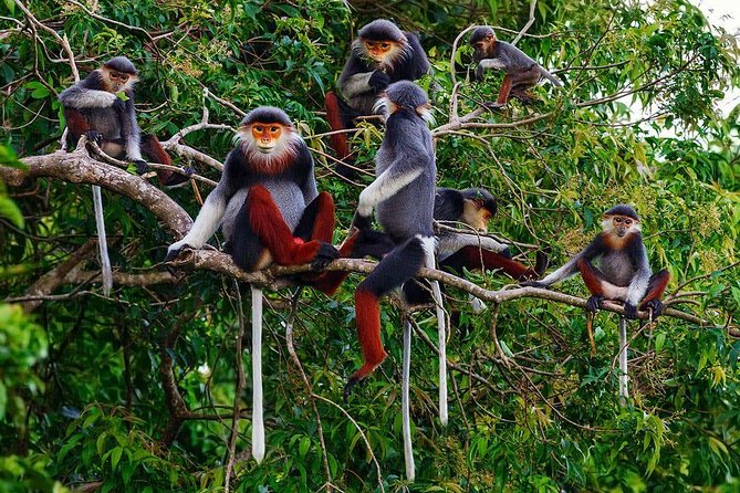 Hue to Dn/Hoi An: Hai Van Pass, beaches & Mt Monkey or vice versa - Timing, comfort, and the small practical details