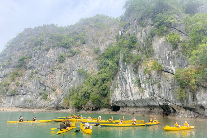 Lan Ha Bay day tour from Cat Ba, Hanoi - Serenity Boutique Cruise - Lunch with Cat Ba seafood