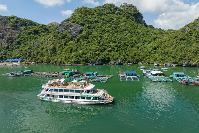 Lan Ha Bay full-day tour from Hanoi, Hai Phong - Serenity Cruises - Who will enjoy this $48 day tour