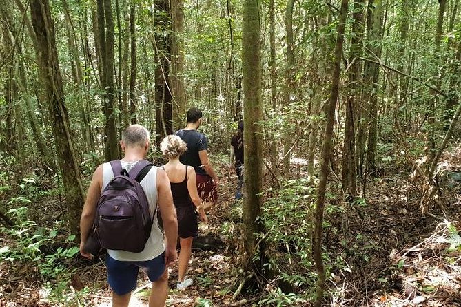 Land Tour 2: Discover the North - Kayaking & Starfish beach Phu Quoc (Not Lunch) - Bee farms, pepper plants, and changing stops