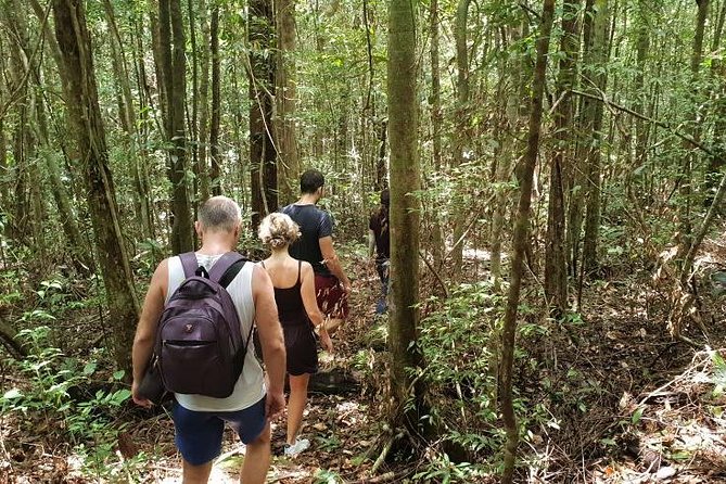Land Tour 2: Discover the North - Kayaking & Starfish beach Phu Quoc (Not Lunch) - The guides are a major part of the value