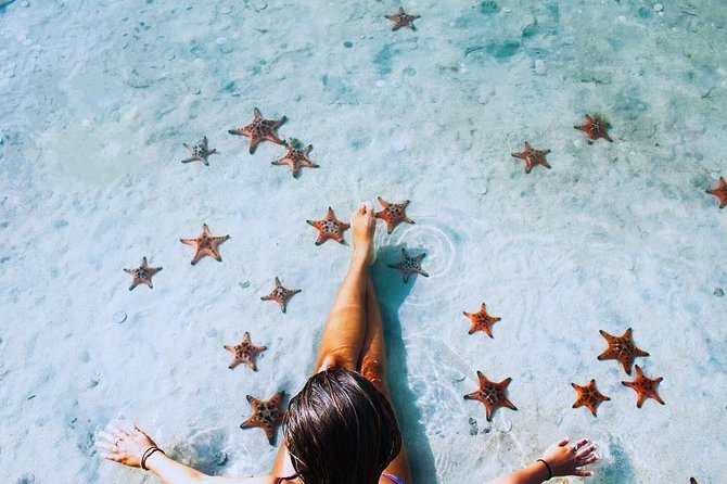 Land Tour 2: Discover the North - Kayaking & Starfish beach Phu Quoc (Not Lunch) - Is $44 good value for Phu Quoc?