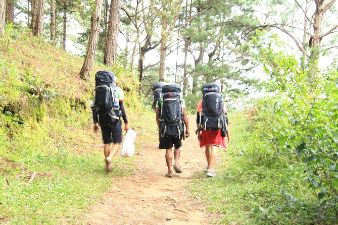 Langbiang Green Trekking Tours - Signature Trekking Da Lat - Why Langbiang is worth a full day