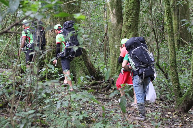 Langbiang Green Trekking Tours - Signature Trekking Da Lat - Through pine forest and highland farms
