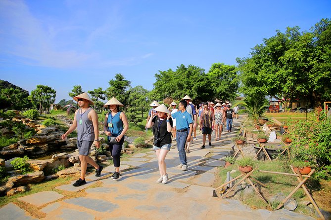 Luxury Hoa Lu Tam Coc Mua Cave 1 Day With Limousine Bus And Lunch - Mua Cave and the 500-step climb