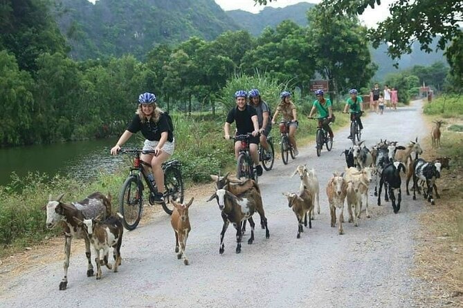 Luxury small Group Hoa Lu - Tam Coc - Mua Cave Max 6 - 8 pax/tour - Is $75 good value?