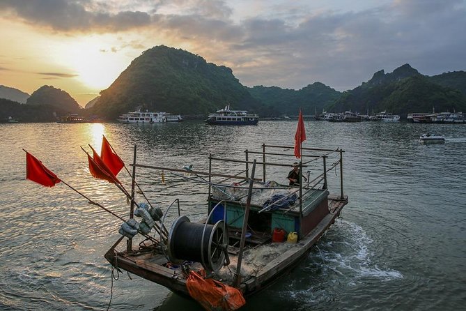 Magical Sunset and Evening with glowing plankton by Cat Ba Local - Who will enjoy this experience most