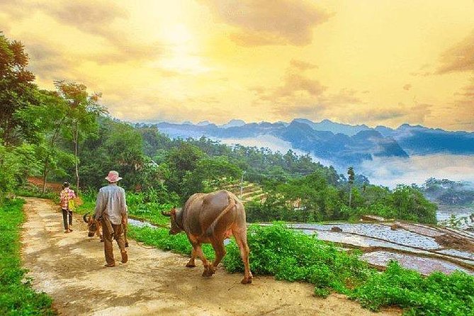 MAI CHAU 1 DAY TOUR | HIDDEN CHARM | SHARED or PRIVATE OPTIONS - Arriving in Mai Chau for four hours