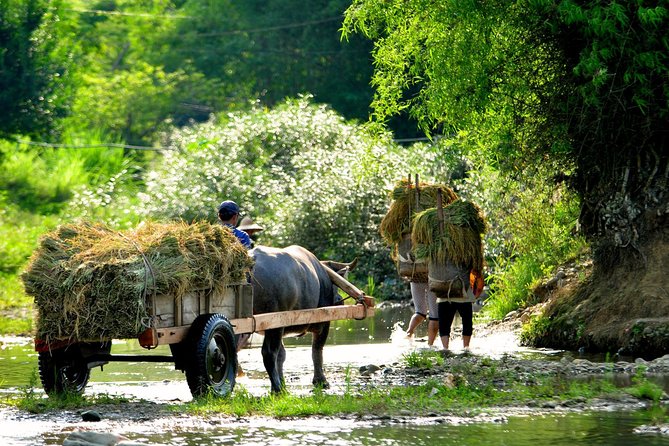 Mai Chau Private Day Tour: Hiking & Biking in Pristine Landscapes - Why Mai Chau makes a good day out from Hanoi