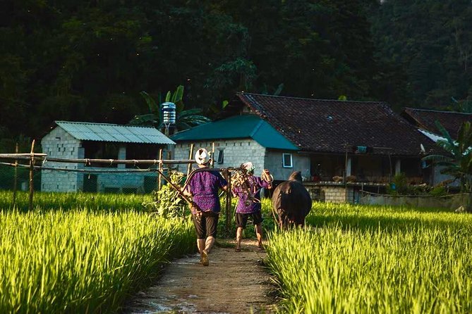 Majesty Of Untouched Northern Vietnam Tour 6 Days - A final morning on Ba Be Lake