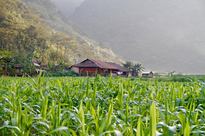 Majesty Of Untouched Northern Vietnam Tour 6 Days - What $766.09 really covers
