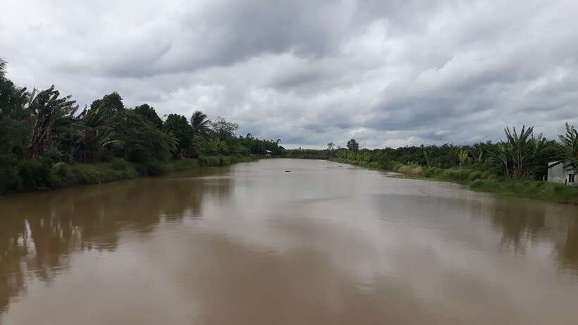 Mekong Day Tour by Car:Cai Be market, Local Island & Cycling - Who will get the most from this day?