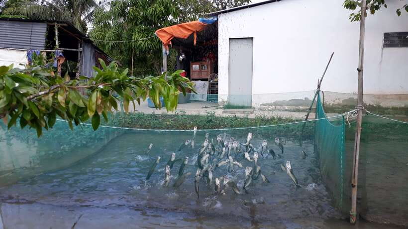 Mekong Day Tour by Car:Cai Be market, Local Island & Cycling - Walking or cycling through the village after lunch