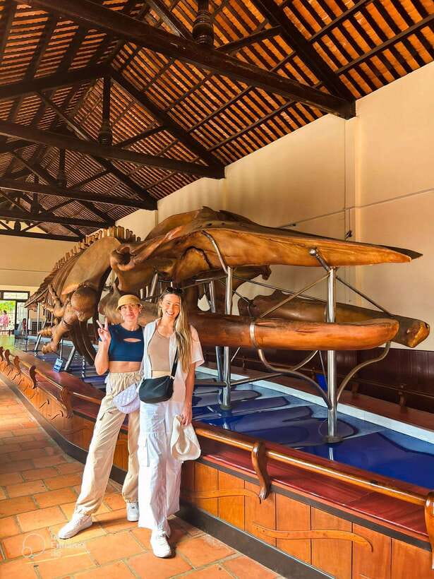 Mui Ne: Best day to Ta Cu Mountain Cable Car & Lying Buddha - How good is the private format?