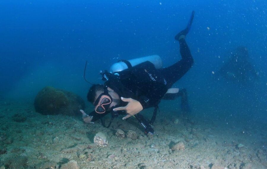 Nha Trang: Scuba Diving Experience for Non-Certified Divers - Why this Nha Trang outing works for beginners