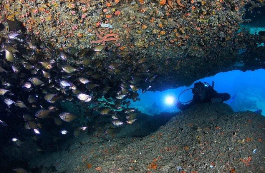 Nha Trang: Scuba Diving Experience for Non-Certified Divers - The break, snacks, and time to settle down