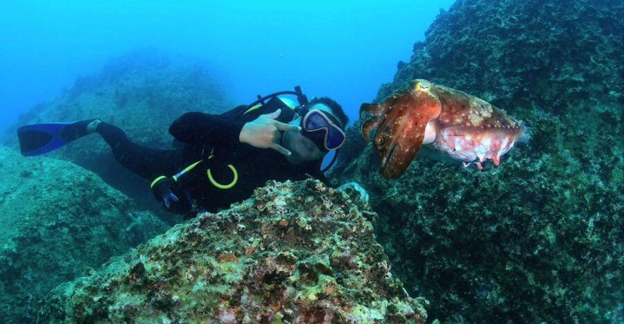 Nha Trang: Scuba Diving Experience for Non-Certified Divers - Lunch near the fisherman base