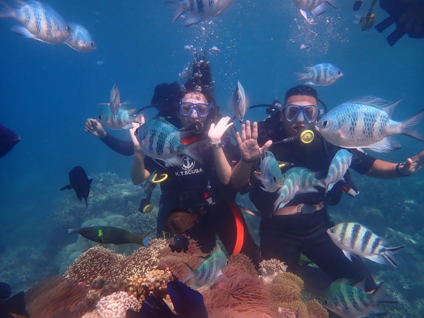 Nha Trang: Scuba Diving Experience for Non-Certified Divers - The early pickup and boat ride