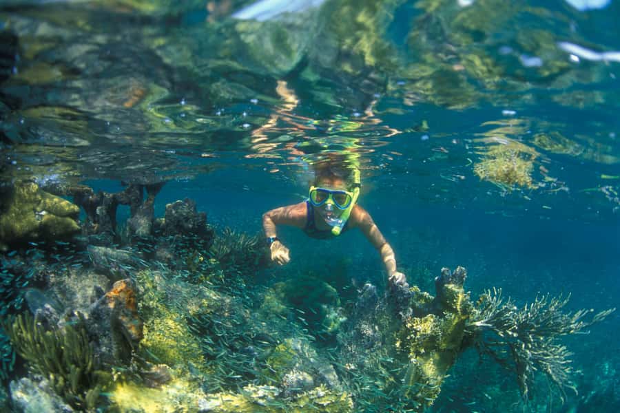 Nha Trang: Snorkeling Tour with BBQ Lunch at Coral Reef - First reef stop: good fish, mixed conditions