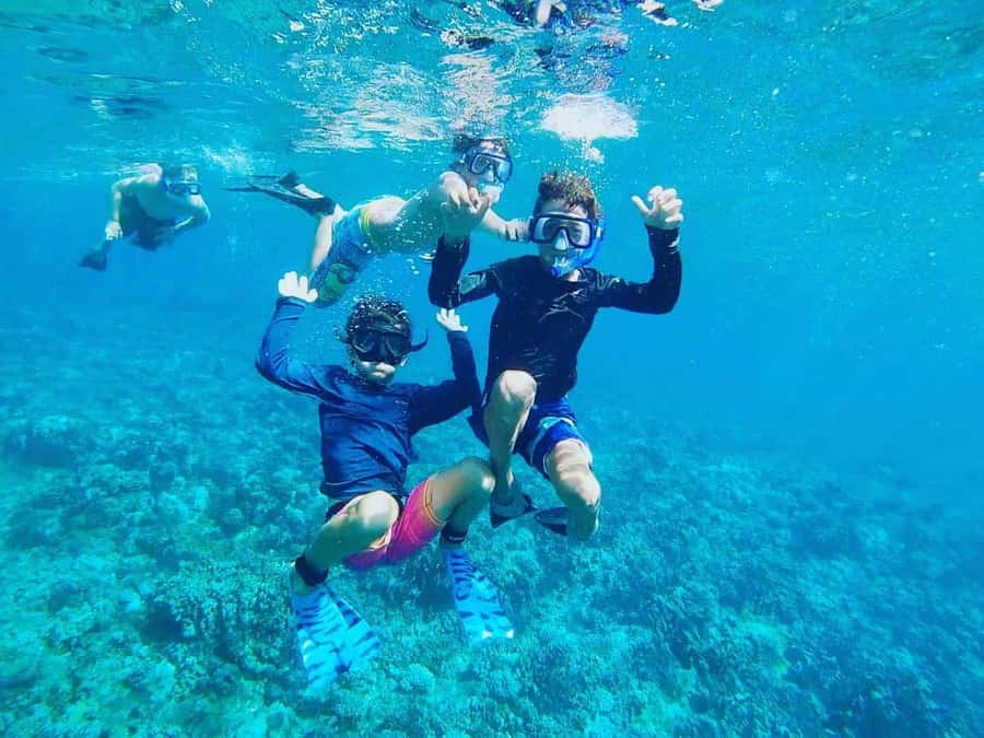 Nha Trang: Snorkeling Tour with BBQ Lunch at Coral Reef - The early pickup and ride to Nha Trang Bay