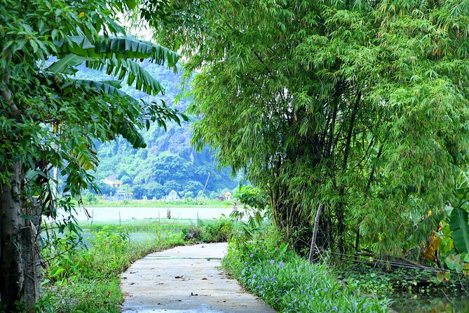 Ninh Binh 2 days 1 night Tour from Hanoi (Small Group of 9) - Climbing Mua Cave for the big view