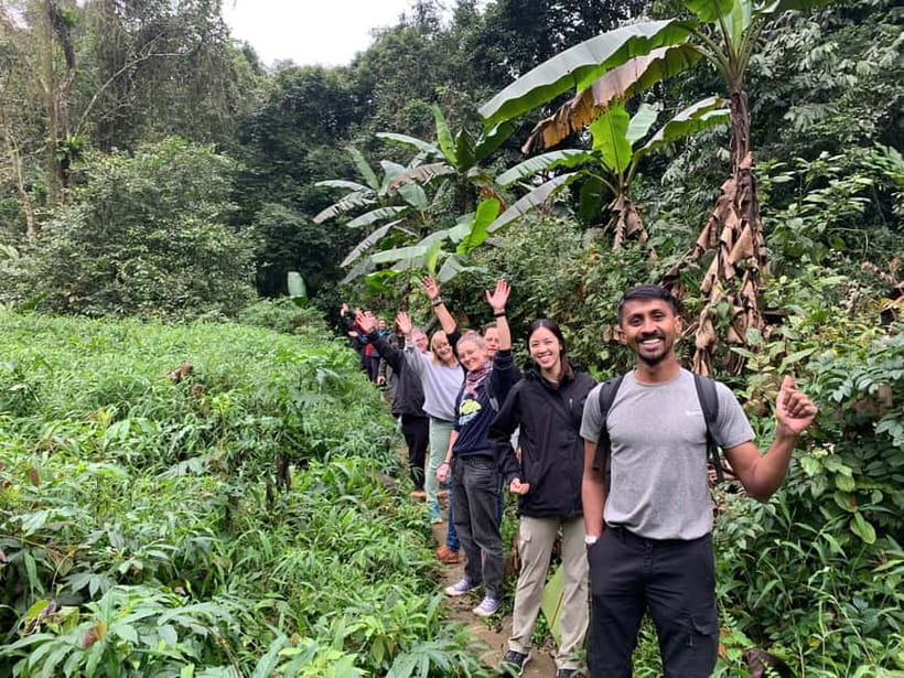 Ninh Binh: Cuc Phuong Jungle Hike & Wildlife Day Trip - Finding the 1,000-year-old Cay Cho tree